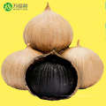 2020 Black Garlic for Good Health